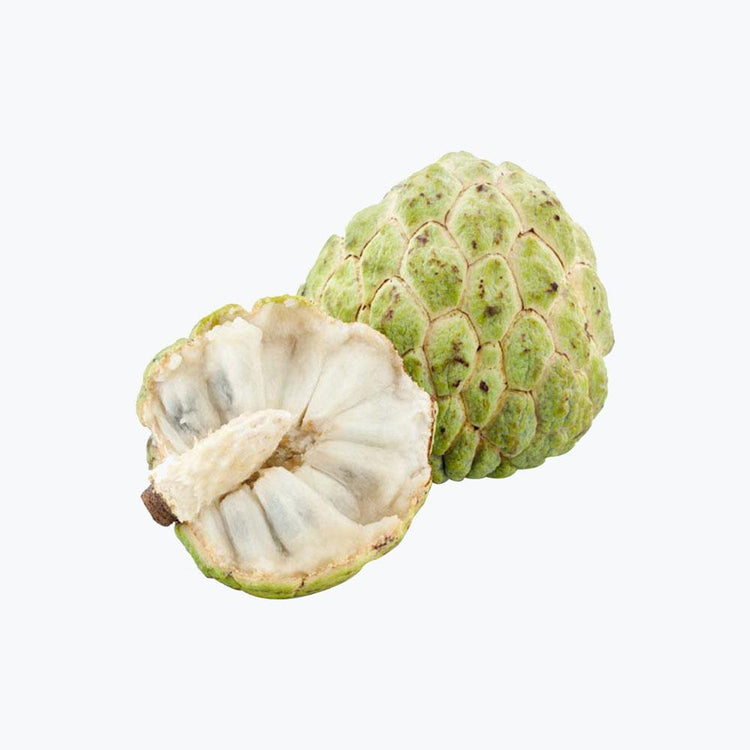 Fusce fermentum