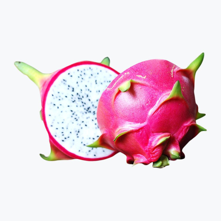 Fusce fermentum