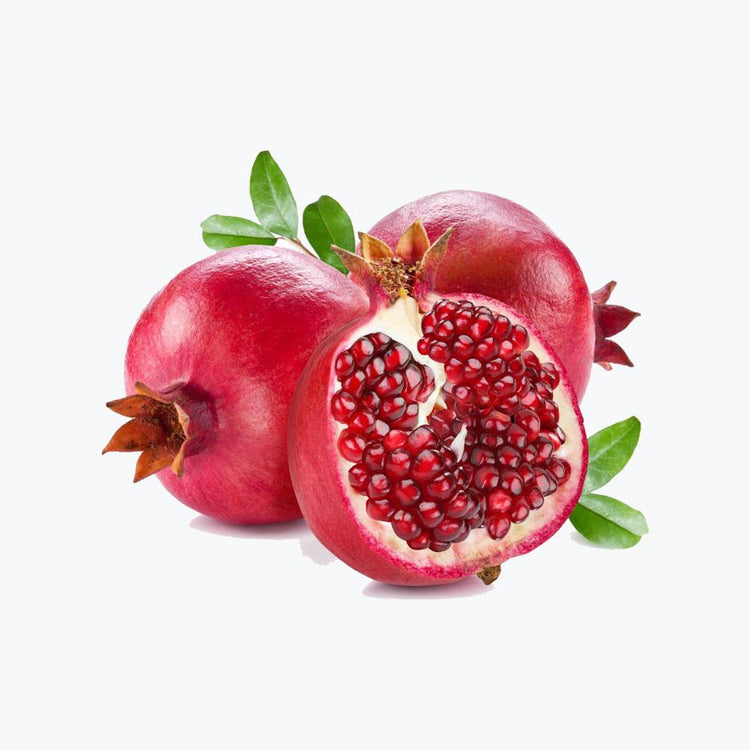 Fusce fermentum
